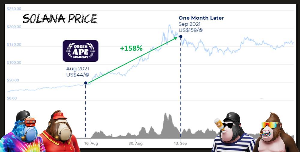 Solana(SOL)币详细介绍