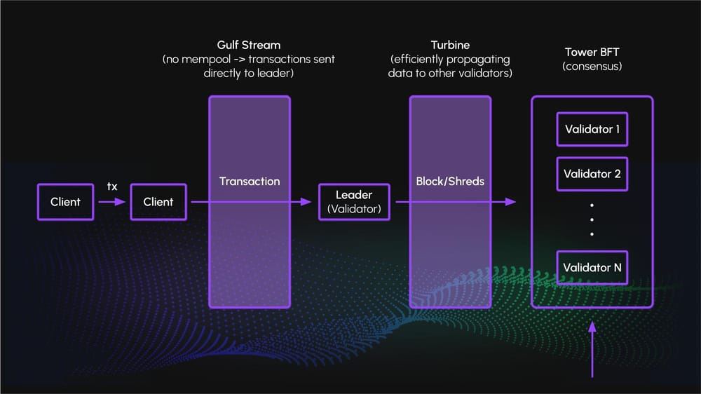 Solana(SOL)币详细介绍